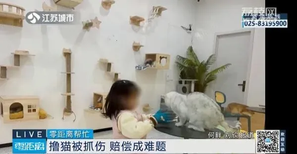 四岁女孩lu猫被抓伤，店家以“免责协议”为由拒绝赔偿……光明网2023-03-0